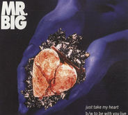 Mr Big - Just Take My Heart