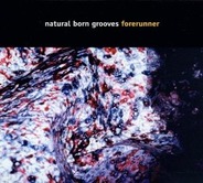 Natural Born Grooves - Forerunner