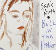 Sonic Youth - Bull In The Heather