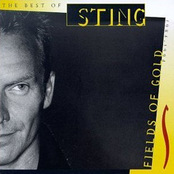 Sting CD Single At Matt's CD Singles