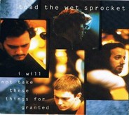 Toad The Wet Sprocket - I Will Not Take These Things For Granted