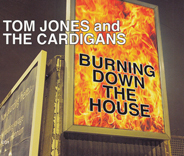 Tom Jones & The Cardigans - Burning Down The House CD1
